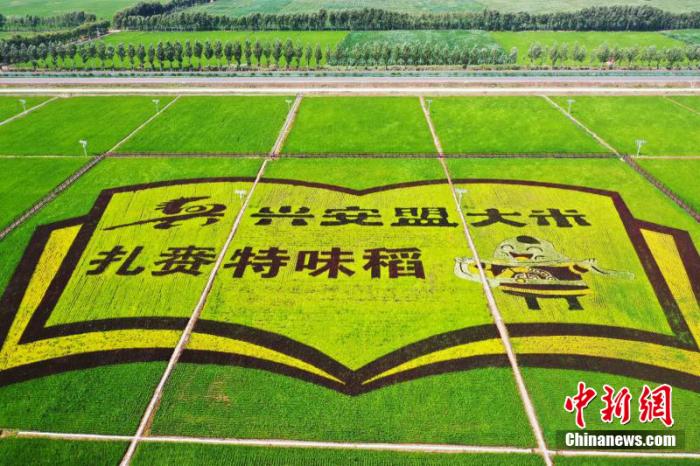 點(diǎn)擊進(jìn)入下一頁