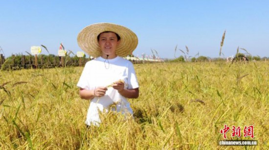 全國(guó)人大代表、寧安市渤海鎮(zhèn)上官地村黨支部書記、村委會(huì)主任陳雨佳在稻田中。 受訪者供圖
